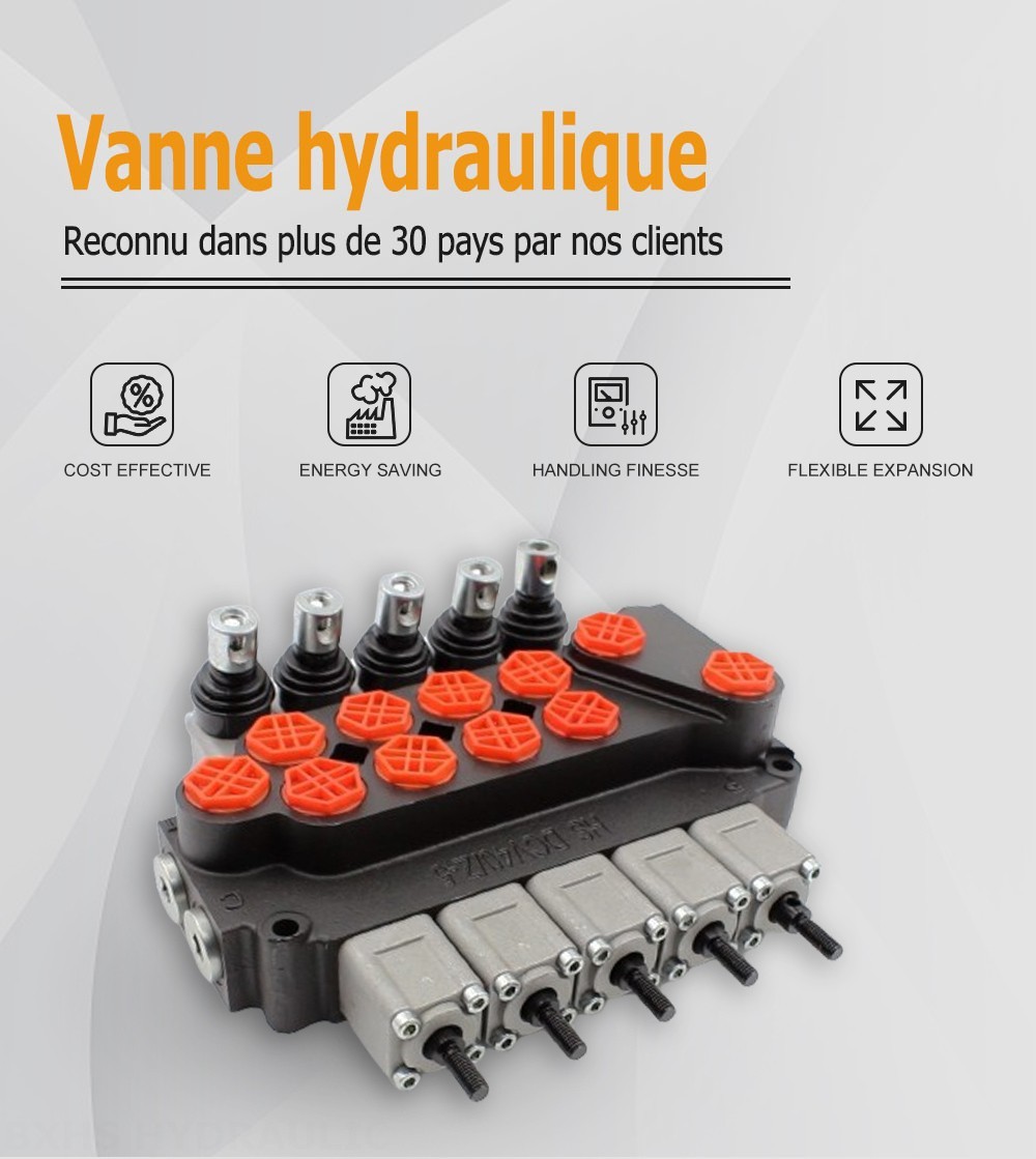 DCV40Z Manuel 5 distributeurs Distributeur directionnel monobloc