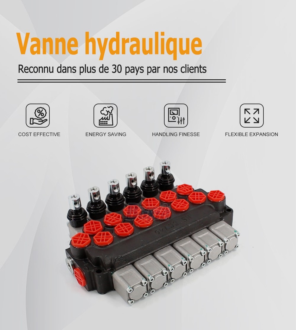 DCV40 Manuel 6 tiroirs Vanne directionnelle monobloc