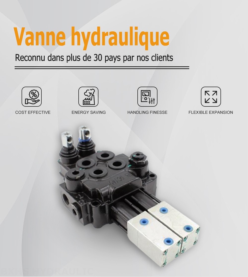 DCV40 Pneumatique 2 distributeurs Distributeur directionnel monobloc