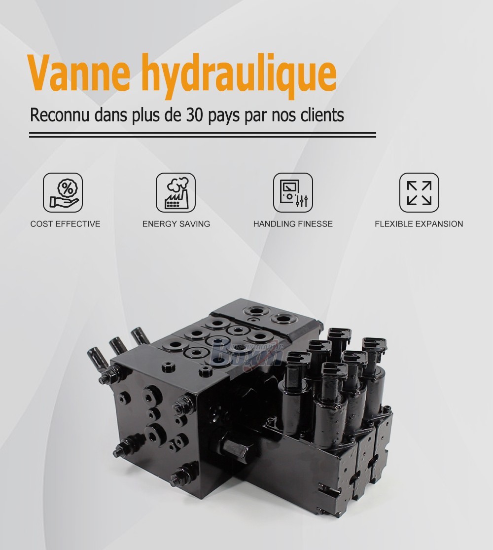 DCV55 Électro-hydraulique 3 tiroirs Distributeur directionnel sectionnel