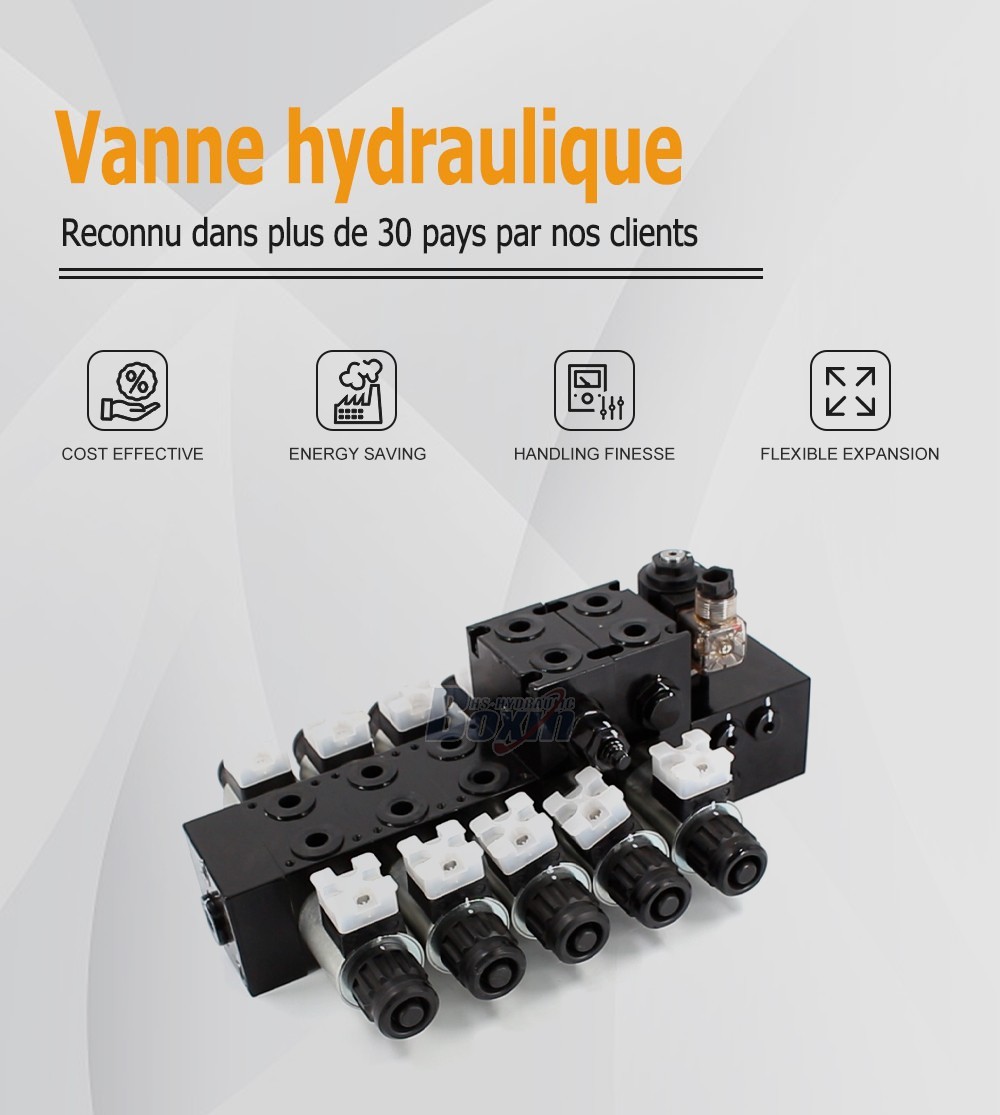 DCV56-H Solénoïde 5 tiroirs Distributeur directionnel sectionnel