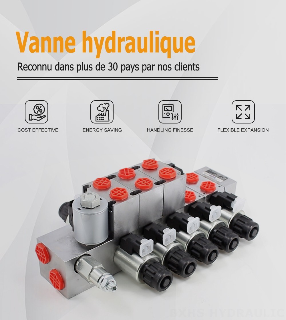 DCV56 Proportionnel électrique 5 distributeurs Distributeur directionnel sectionnel