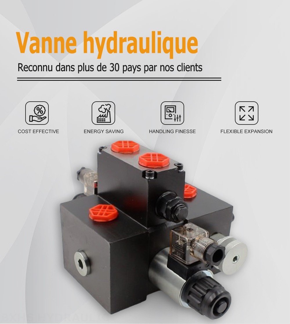 DCV58F Solénoïde 1 distributeur Distributeur directionnel sectionnel