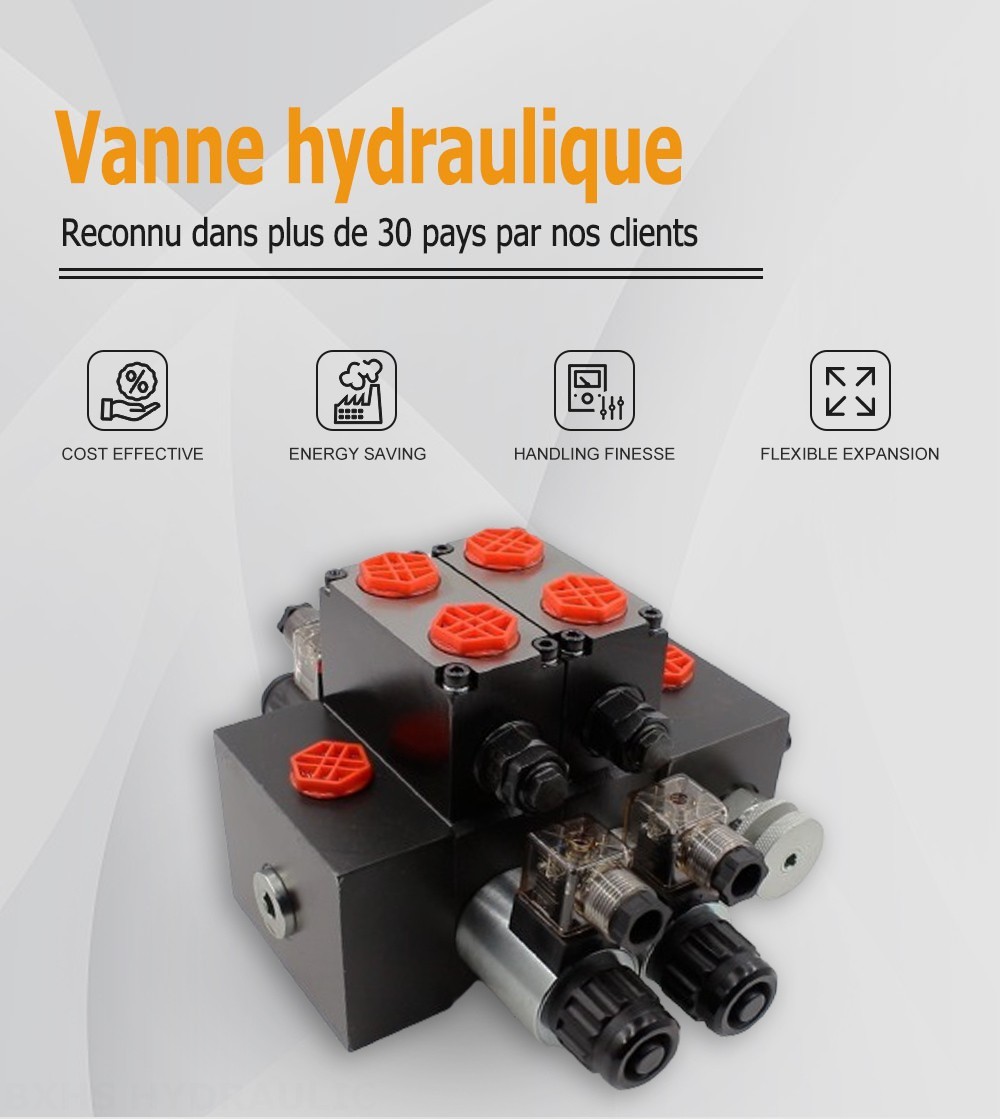 DCV58F Solénoïde 2 distributeurs Distributeur directionnel sectionnel