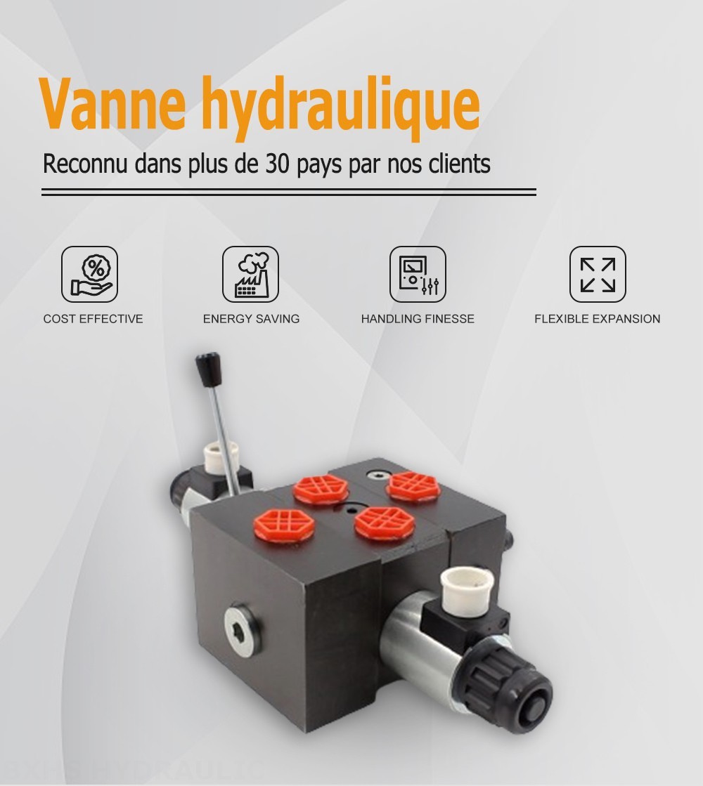 DCV58 Solénoïde 1 distributeur Distributeur directionnel sectionnel