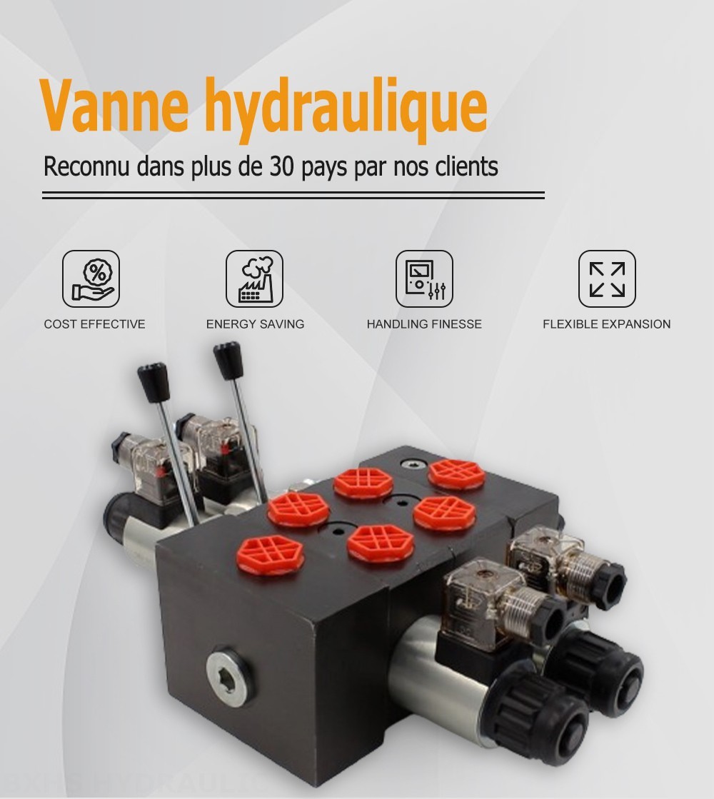 DCV58 Solénoïde 2 distributeurs Distributeur directionnel sectionnel