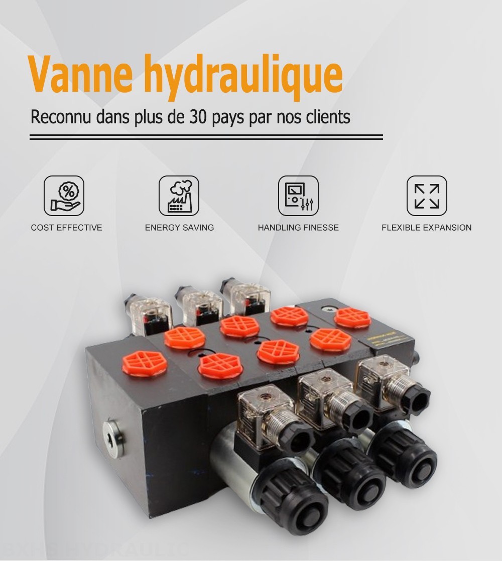 DCV58 Solénoïde 3 distributeurs Distributeur directionnel sectionnel