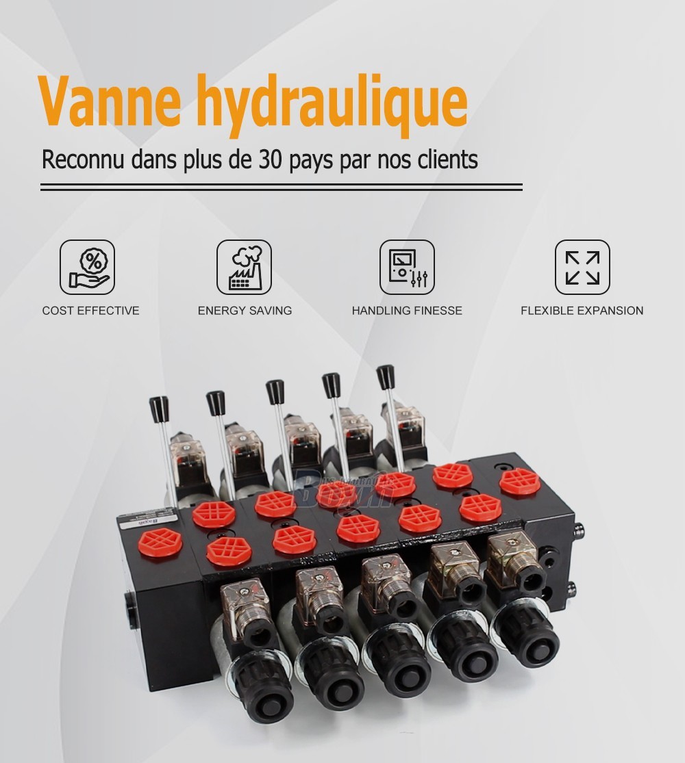 DCV58 Solénoïde et manuel 5 tiroirs Distributeur directionnel sectionnel