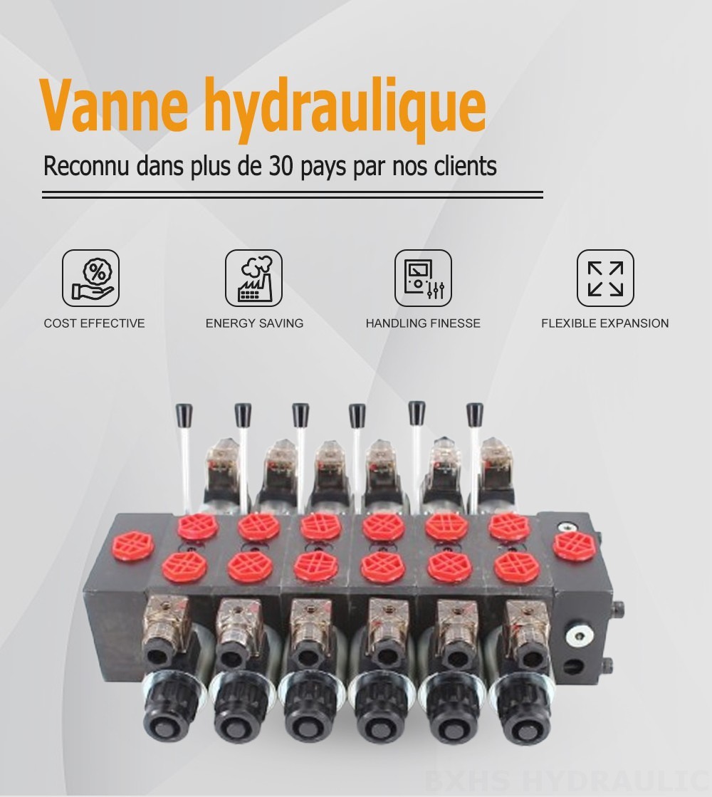 DCV58 Solénoïde 6 distributeurs Distributeur directionnel sectionnel