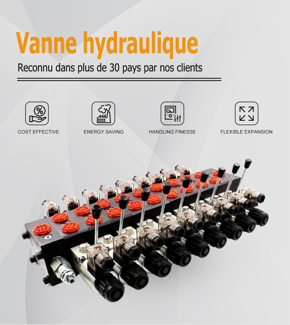 DCV58 Solénoïde 9 distributeurs Distributeur directionnel sectionnel