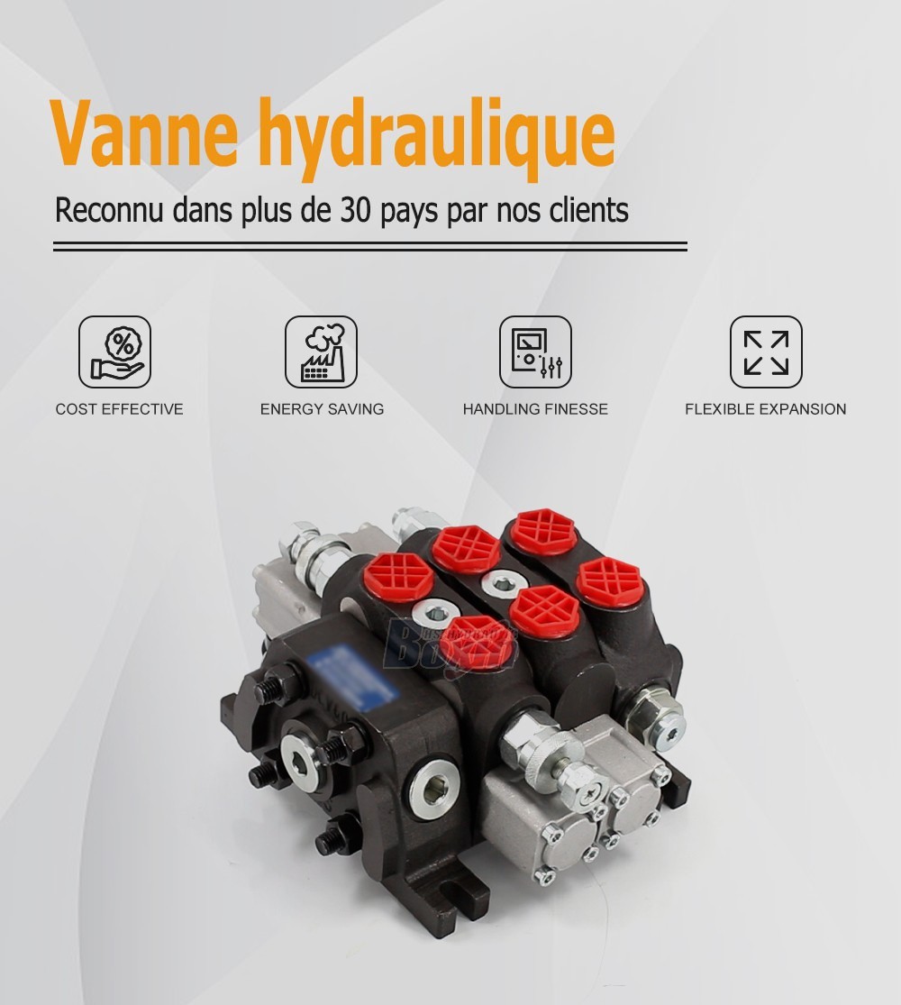 DCV60-FZJ Manuel 2 tiroirs Distributeur directionnel sectionnel