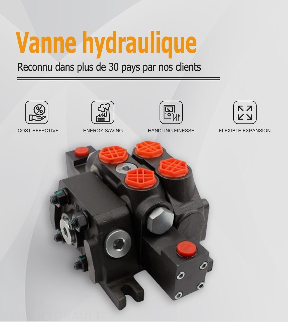 DCV60-G34 Hydraulique 1 distributeur Distributeur directionnel sectionnel