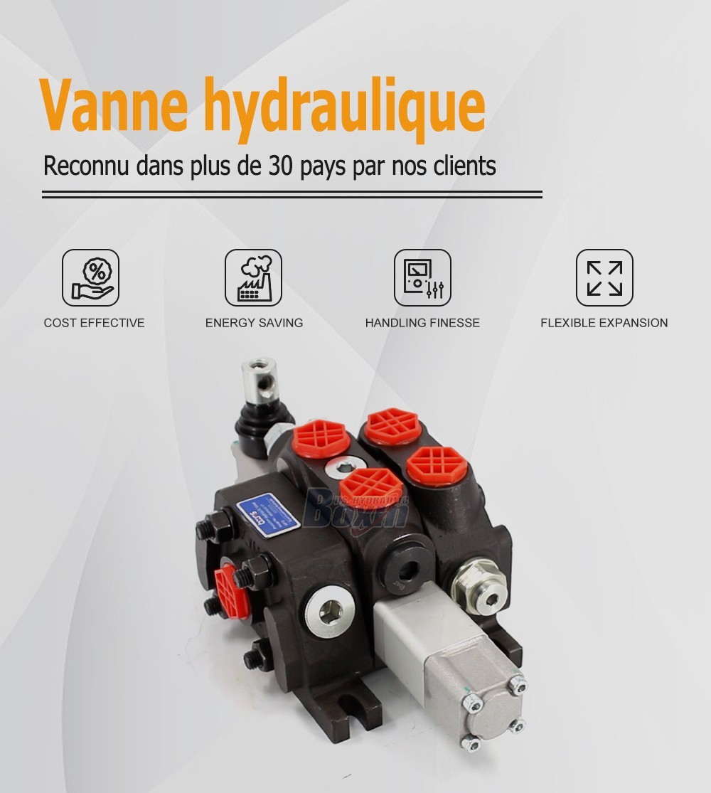 DCV60-JZTAW-J Manuel 1 tiroir Distributeur directionnel sectionnel