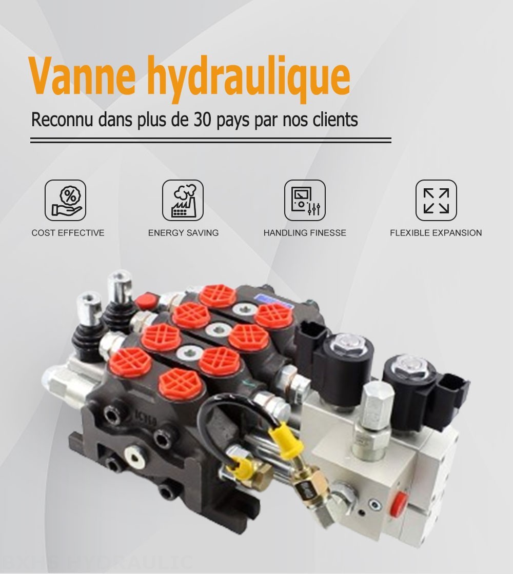 DCV60 Électro-hydraulique 2 distributeurs Distributeur directionnel sectionnel