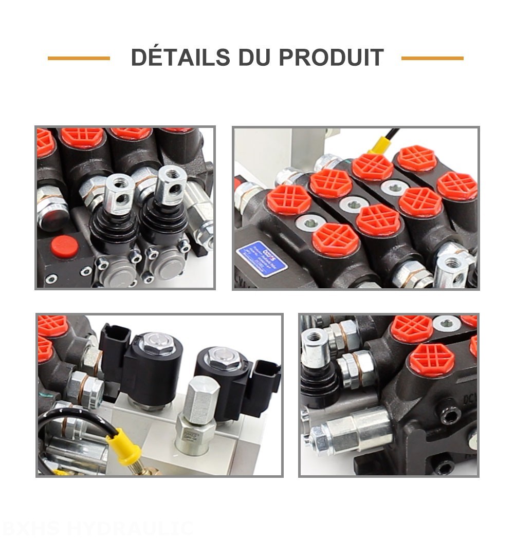 DCV60 Électro-hydraulique 2 distributeurs Distributeur directionnel sectionnel