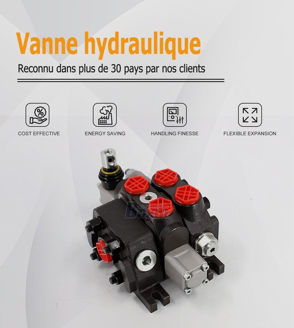 DCV60 Manuel 1 tiroir Distributeur directionnel sectionnel