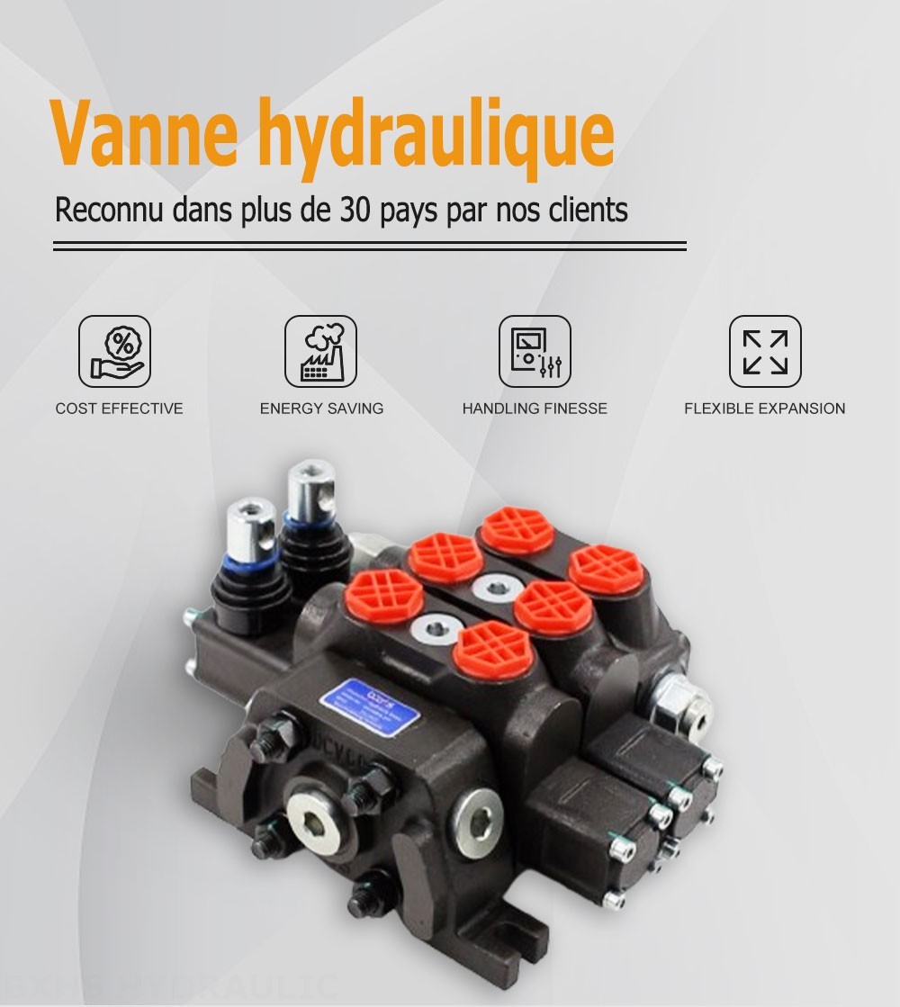 DCV60 Manuel 2 distributeurs Distributeur directionnel sectionnel