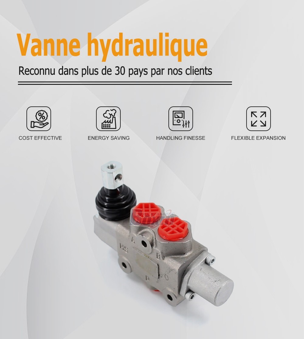 DF5-DKL Manuel 1 tiroir Vanne de dérivation de débit