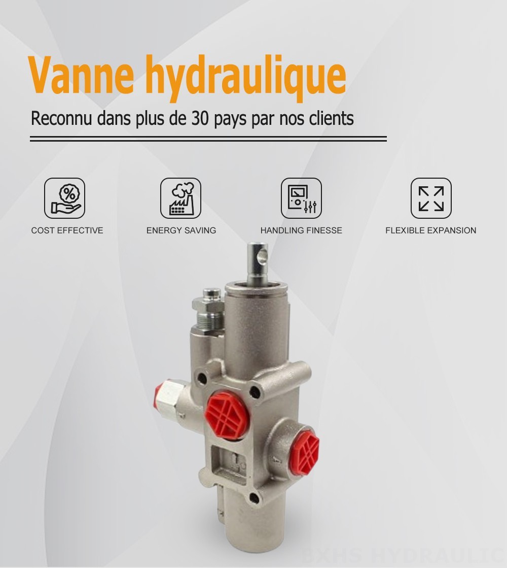 DM130 Pneumatique 1 distributeur Vanne de Basculement