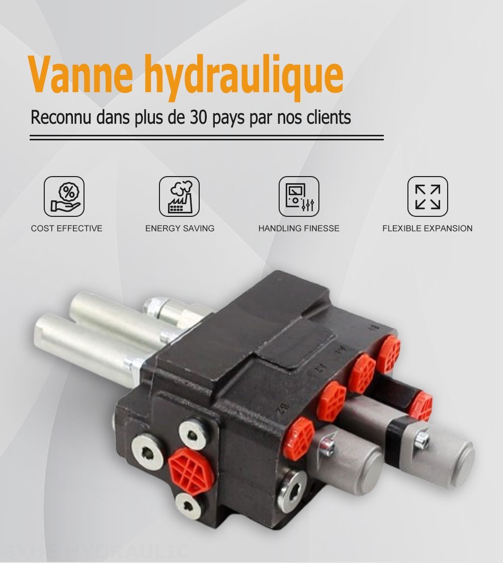 DM45 Câble 2 distributeurs Distributeur directionnel monobloc