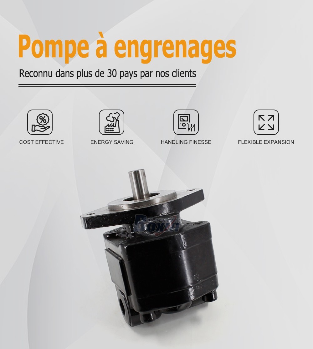 CBHS-FC25 25 cc/tr 20 MPa (2900 psi) Pompe hydraulique à engrenages