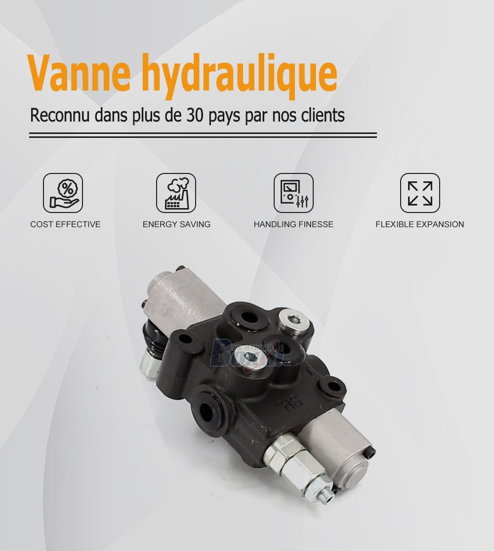 HS45-FZJ Manuel 1 tiroir Vanne directionnelle monobloc