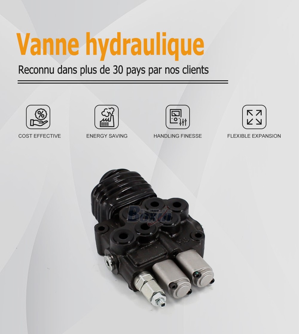 HS45 Manette 2 tiroirs Vanne directionnelle monobloc