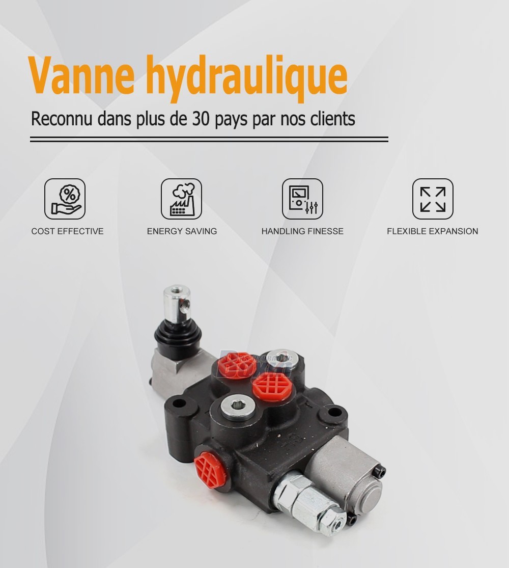 HS45 Manuel 1 tiroir Vanne directionnelle monobloc
