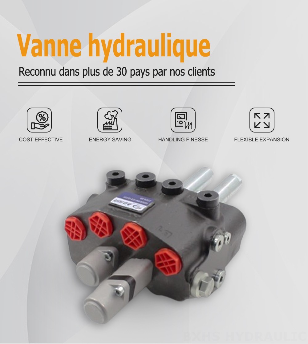 HSDM90B Câble 2 distributeurs Vanne directionnelle monobloc