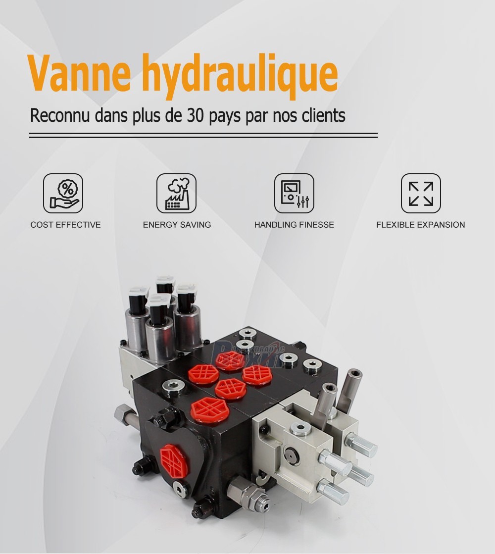 Manufacturer Source: HSDPX100DY-2 Electro-hydraulic Sectional Valve Bulk Supply