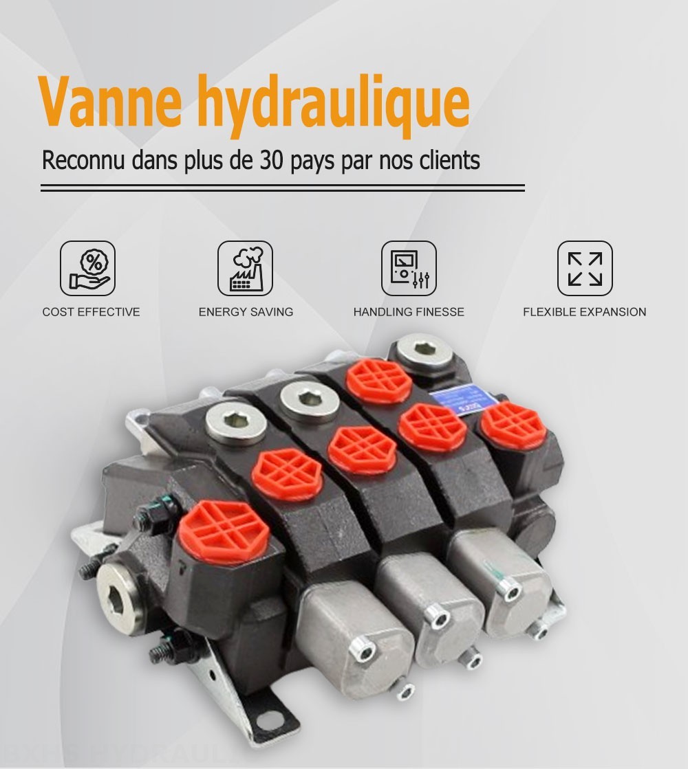 HSDS15 Manuel 3 distributeurs Distributeur directionnel monobloc