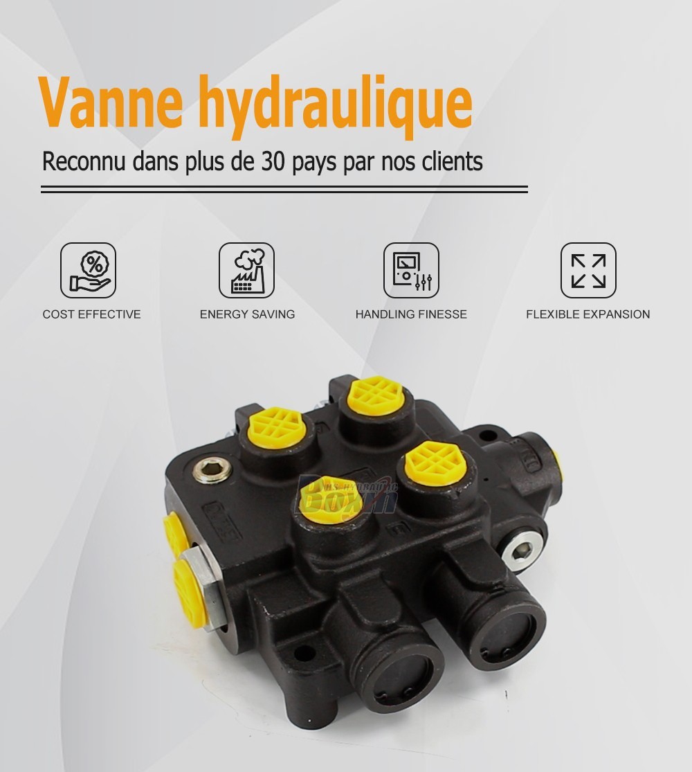 HSSP-2OT-J Manuel 2 tiroirs Vanne directionnelle monobloc