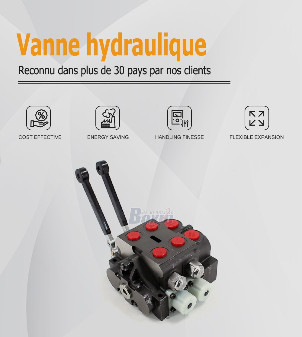 HSV20 Manuel 2 tiroirs Distributeur directionnel sectionnel