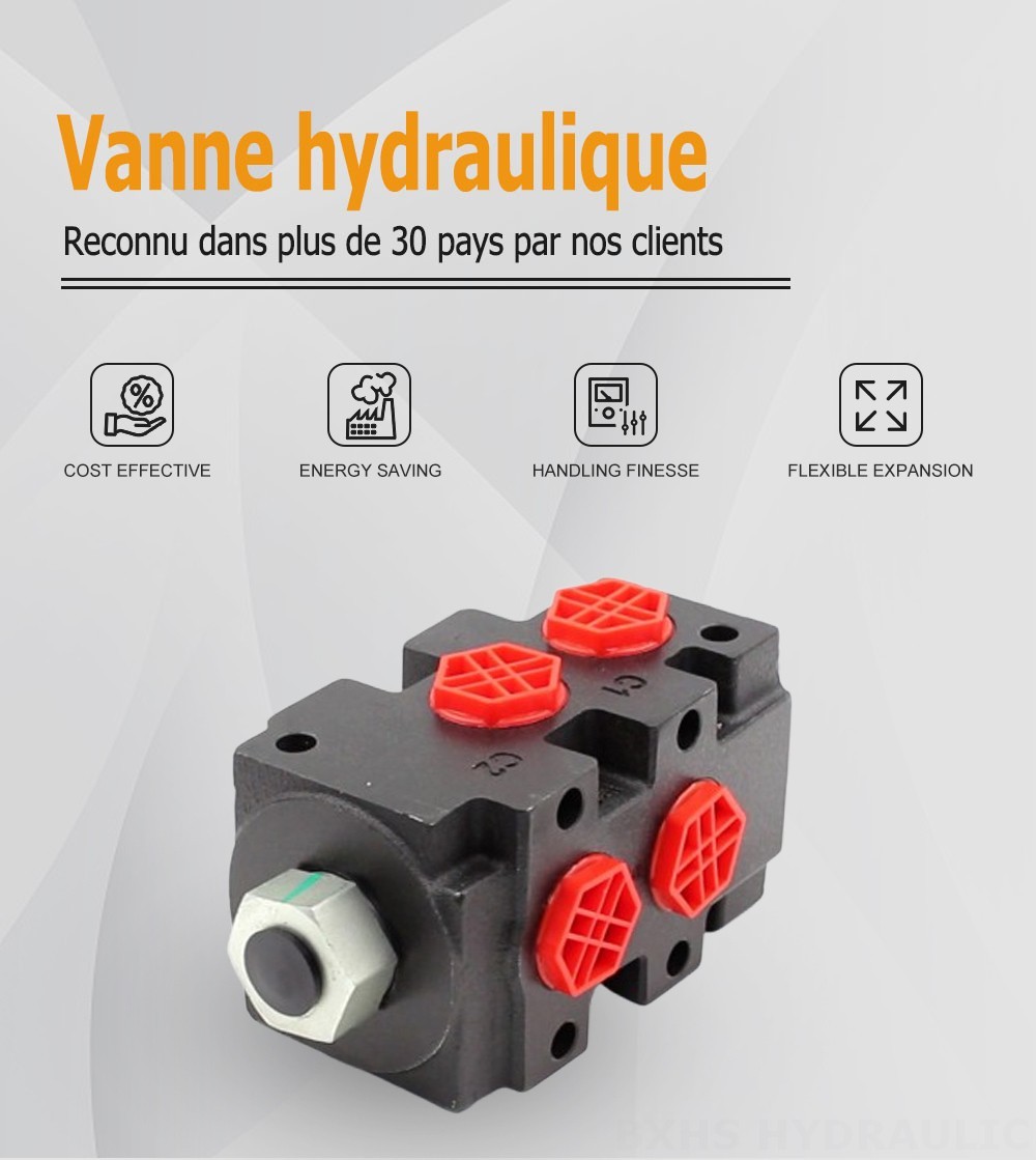 HSV9YK-1LF Hydraulique 1 distributeur Soupape de dérivation de débit