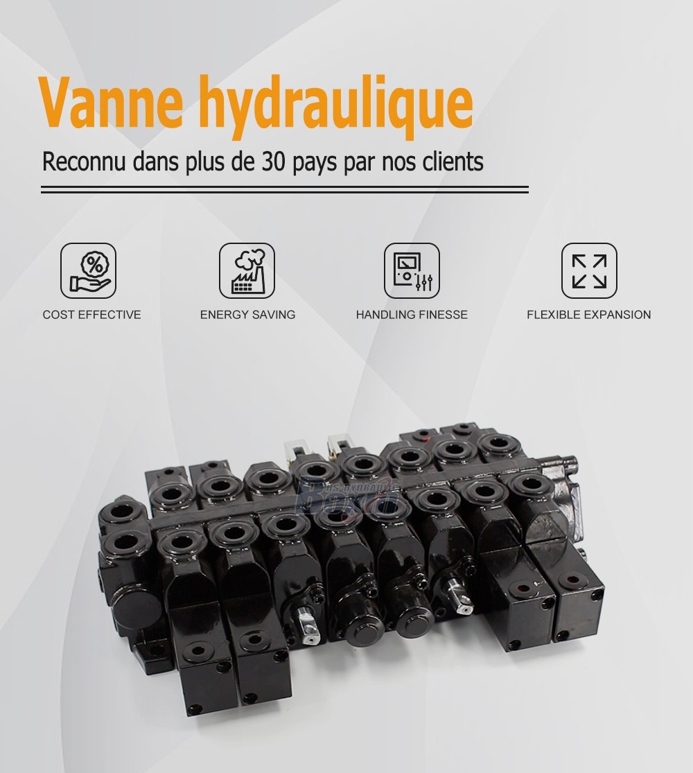 HSW50 Hydraulique et manuel 8 tiroirs Vanne directionnelle monobloc