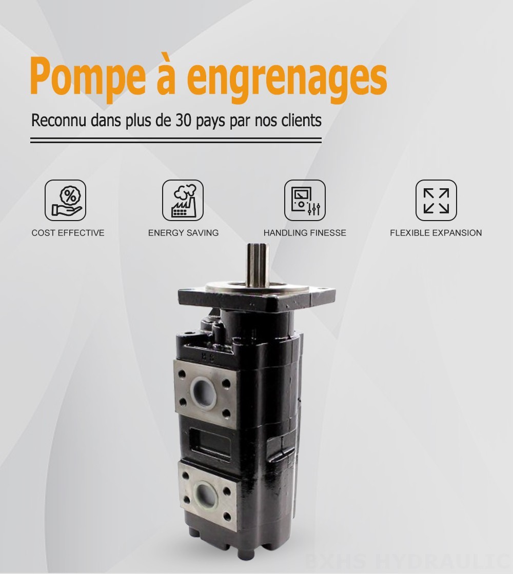 JHP2080-2080 80 cm3/tr Pompe hydraulique à engrenages