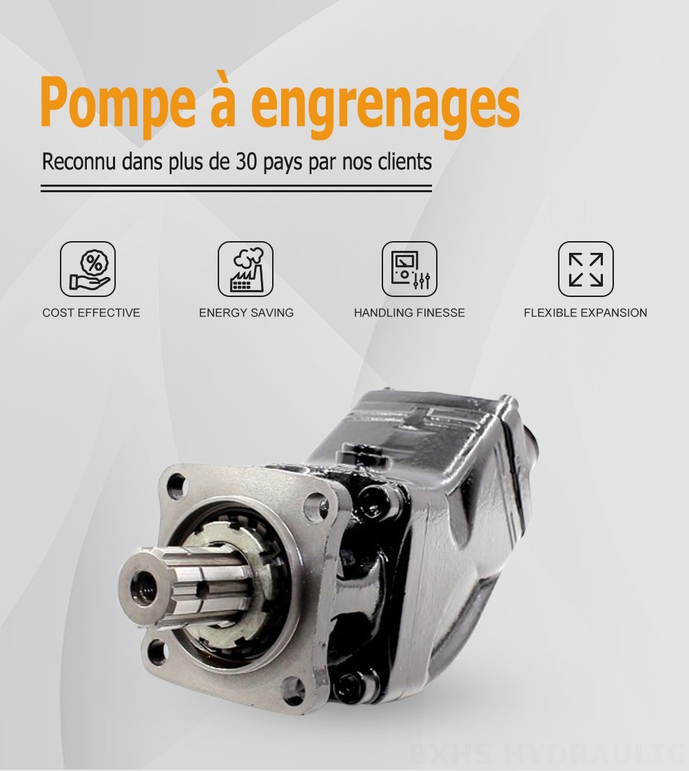 LB-63 63 cm3/tr Pompe hydraulique à pistons