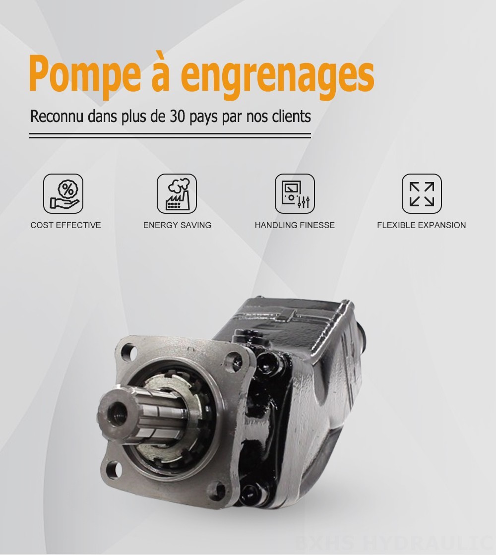 LB-80 80 cm3/tr Pompe hydraulique à pistons