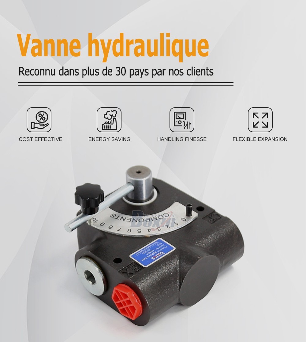 LKF60-WAQF Hydraulique 1 tiroir Soupape de contrôle de débit