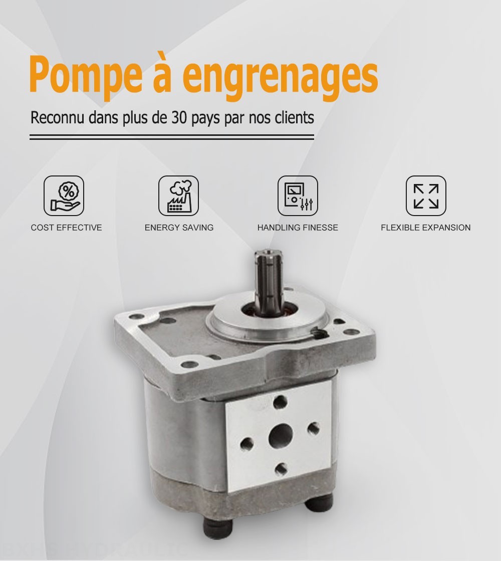 NSH-10 10 cm3/tr Pompe hydraulique à engrenages