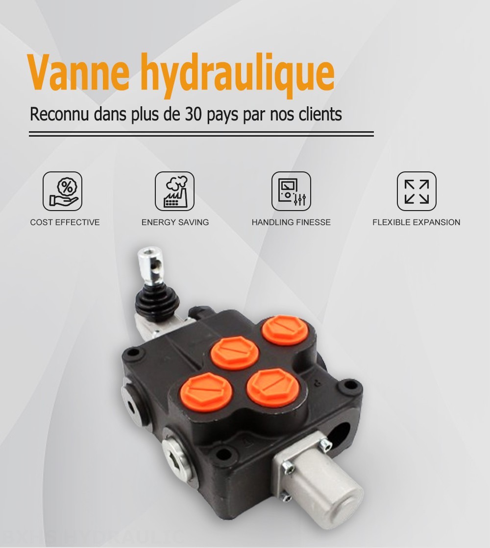 P120-G1-OT Manuel 1 distributeur Distributeur directionnel monobloc