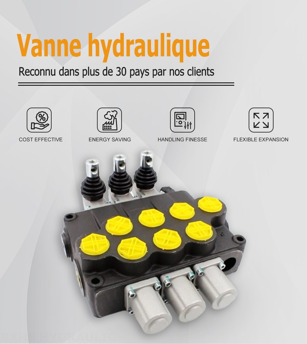 P120-G1-OT Manuel 3 distributeurs Distributeur directionnel monobloc