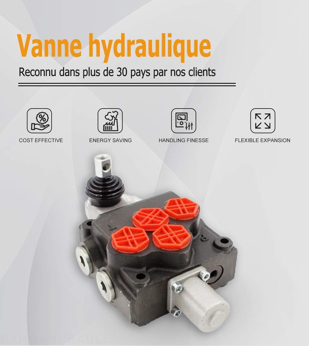 P120-G1 Manuel 1 distributeur Distributeur directionnel monobloc