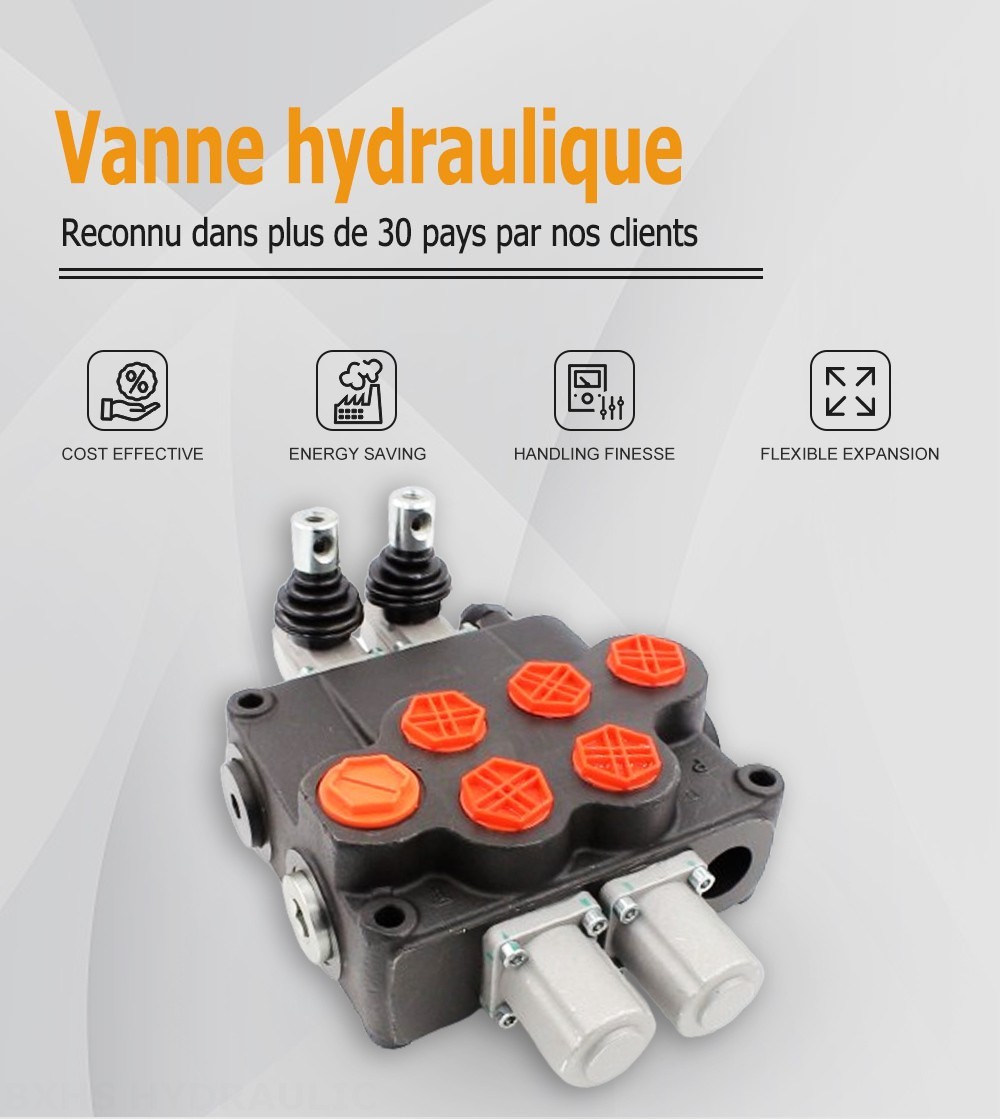 P120-G34-G1-OT Manuel 2 distributeurs Distributeur directionnel monobloc