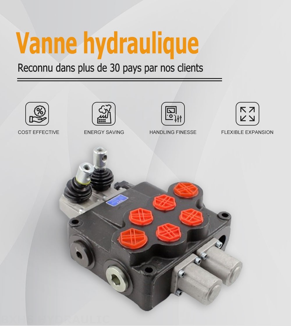 P120 Manuel 2 distributeurs Distributeur directionnel monobloc