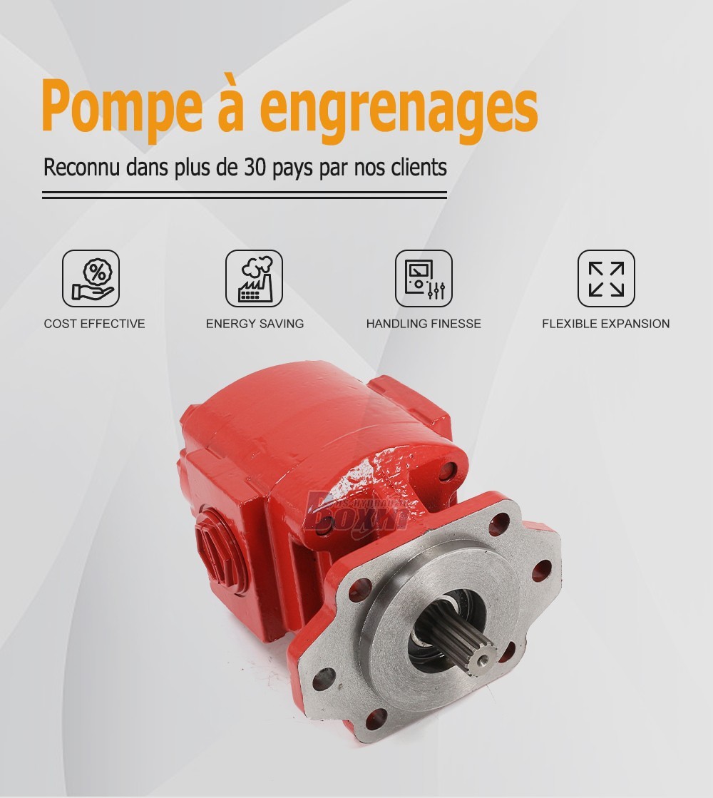 High Performance P21A646JEAL20-25-H 64.6 cc/rev Hydraulic Gear Pump Supply