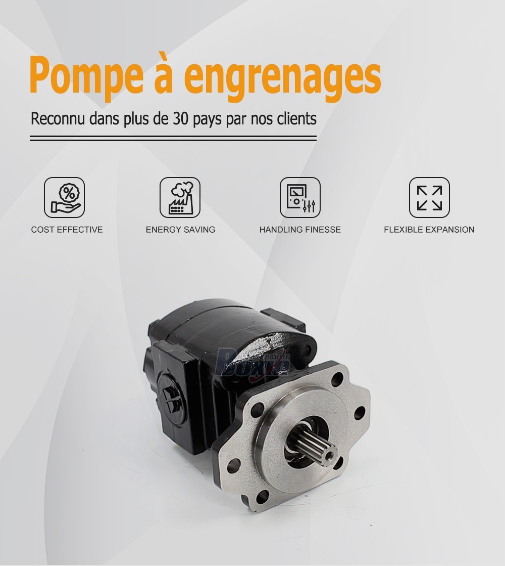 Global Partnership Opportunity for P21A646JEAL20-25 64.6 cc/rev Hydraulic Gear Pump Distribution