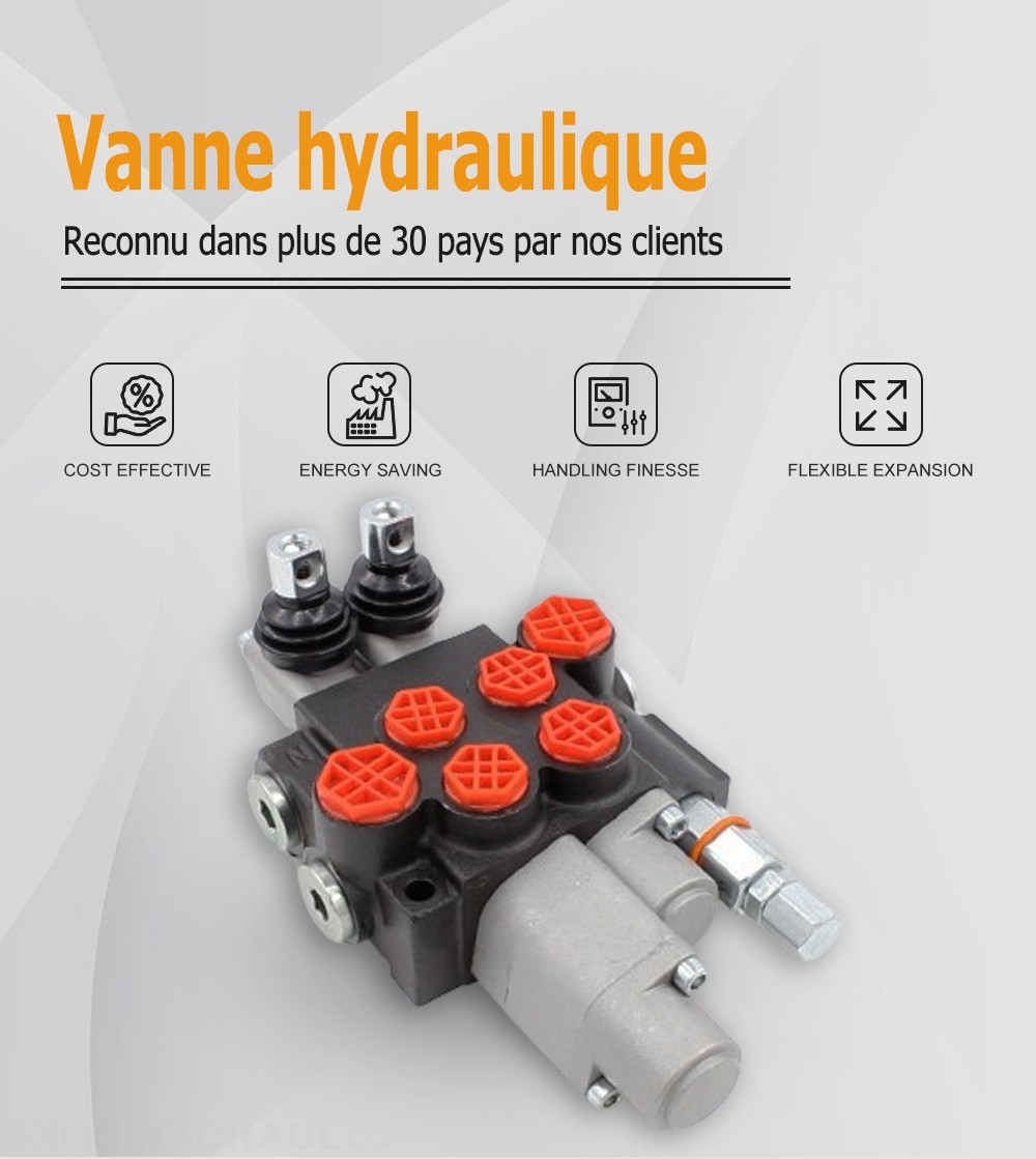 P40-AQF-G38-G12 Manuel 2 distributeurs Distributeur directionnel monobloc