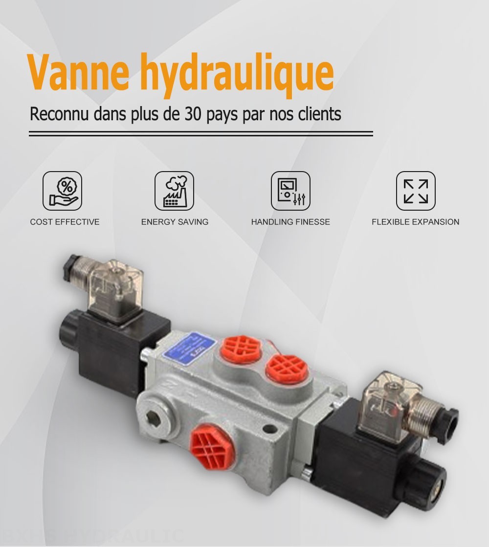 P40-DKL Solénoïde 1 distributeur Distributeur directionnel monobloc