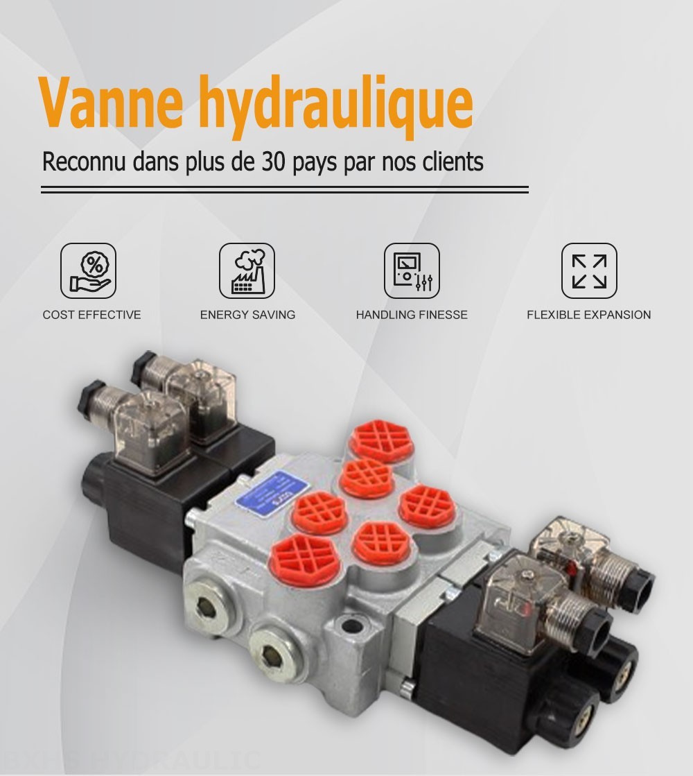 P40-DKL Solénoïde 2 distributeurs Distributeur directionnel monobloc